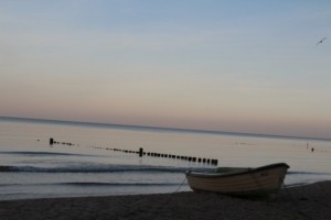 IMG_6539