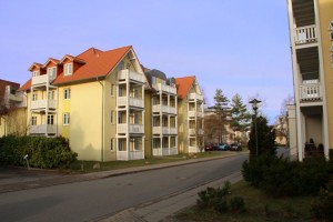 IMG_6745