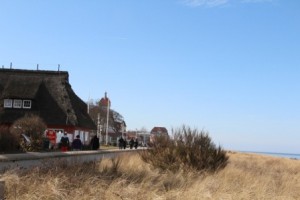 IMG_6922