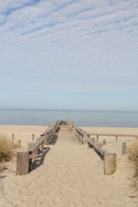 IMG_6923